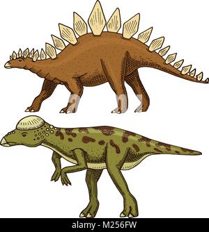 Dinosaure Stégosaure, Pachycephalosaurus, Lexovisaurus, squelettes, fossiles. Reptiles préhistoriques, des animaux dessinés à la main, gravée vecteur. Illustration de Vecteur