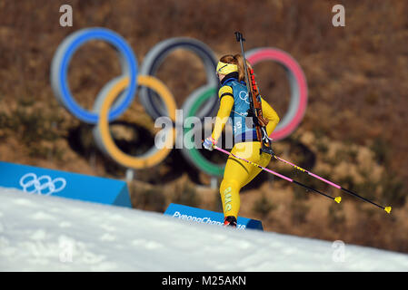 Pyeongchang, Corée du Sud. 05 févr., 2018. La formation d'un athlète à l'installations de biathlon à Pyeongchang, Corée du Sud, 05 février 2018. Les Jeux Olympiques d'hiver de 2018 à PyeongChang sont dues à courir à partir de 09 - 25 février. Credit : Hendrik Schmidt/dpa-Zentralbild/dpa/Alamy Live News Banque D'Images