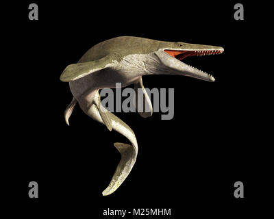 Mosasaurus, 17m lézard aquatique, entre 70 et 66 millions d'années (3d illustration isolé sur fond noir) Banque D'Images