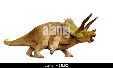 Dinosaure Triceratops horridus (3d render isolé sur fond blanc) Banque D'Images