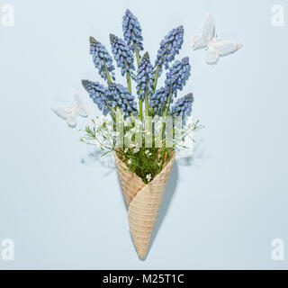 Hyacinth muscari fleur dans le cornet gaufré,décoration naturelle. Banque D'Images