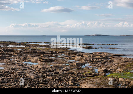 Journée ensoleillée sur une côte rocheuse avec les îles Farne dans la distance Banque D'Images