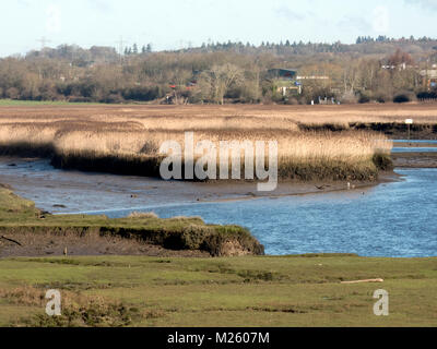 Test inférieur, l'estuaire de Southampton Water, Hampshire. Salon des zones côtières et humides dans un estuaire à marée. UK Banque D'Images