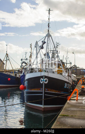 Le chalutier de pêche commerciale Asteria attaché dans Portavogie Harbour dans le comté de Down ayant récemment débarqué son catch Banque D'Images