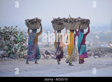 Des femmes transportant du bois de chauffage, Bundi, Rajasthan, Inde Banque D'Images