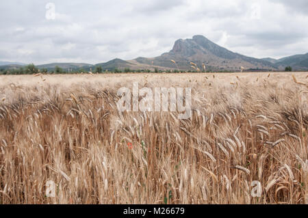 Peña de los enamorados avec champ de céréales Banque D'Images