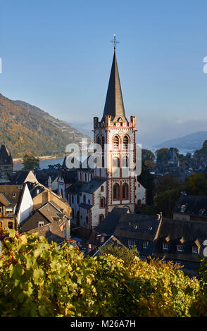 Bacharach dans l'établissement soleil d'automne Banque D'Images