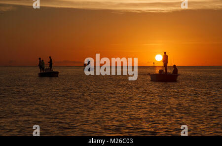 ST. PETERSBURG, Floride : poisson pêcheur de snook et tarpon dans Pass-a-Grille Inlet juste avant le coucher du soleil à Saint-Pétersbourg, en Floride. Banque D'Images