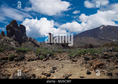 Echium wildpretii .célèbre doigt de Dieu rock dans le parc national du Teide. L'île de Tenerife, Canaries - Espagne Banque D'Images