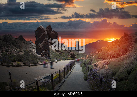 Echium wildpretii .célèbre doigt de Dieu rock dans le parc national du Teide. L'île de Tenerife, Canaries - Espagne Banque D'Images