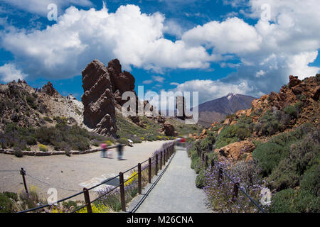 Echium wildpretii .célèbre doigt de Dieu rock dans le parc national du Teide. L'île de Tenerife, Canaries - Espagne Banque D'Images