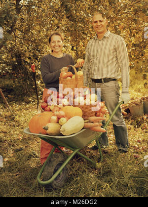 L'homme et la femme avec la récolte des légumes dans le jardin Banque D'Images