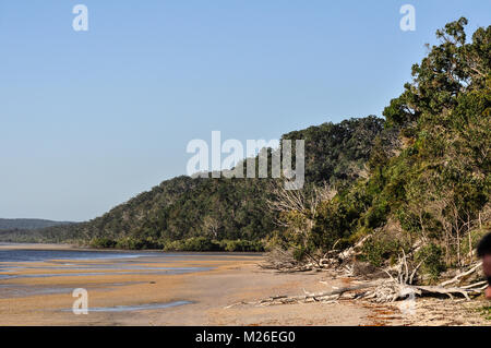 Plage sur Fraser Island, Queensland, Australie Banque D'Images