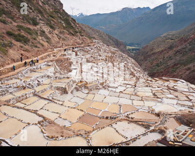 Les étangs de sel de Maras. Vallée Sacrée Pérou Banque D'Images