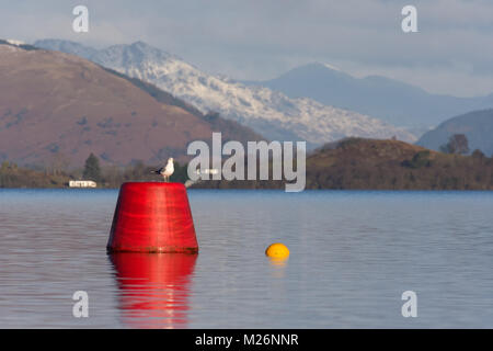 Ben Lomond enneigés Banque D'Images