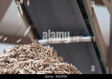 Récupération des déchets de bois Déchets de bois sont récupérables pour le chauffage bois, le paillage ou dans le compost après un tri et broyage des copeaux de bois ;  <br > Banque D'Images