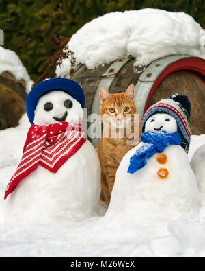 Un rouge orange tabby cat, European Shorthair, et drôles de bonhommes avec les écharpes et les chapeaux dans un jardin couvert de neige sur une froide journée d'hiver Banque D'Images