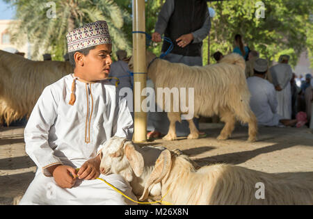 Nizwa, Oman, Février 2nd, 2018 : scène de vente aux enchères de chèvre traditionnelle Banque D'Images