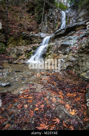 Belle Cascade de Mesa Potamos en automne avec les feuilles d'érable jaune sur le sol à montagnes Troodos à Chypre. Banque D'Images