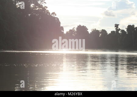 Kinabatangan River sunset, Sabah, Malaisie Banque D'Images
