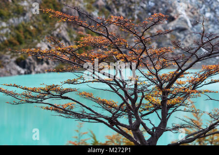 L'Argentine Mirador Laguna Condor prises en 2015 Banque D'Images
