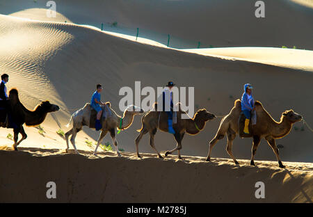 Les touristes monter des chameaux à un parc d'attractions à thème du désert dans le désert de Gobi de Mongolie intérieure en Chine. Banque D'Images