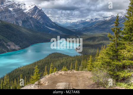 Le lac Peyto Banque D'Images