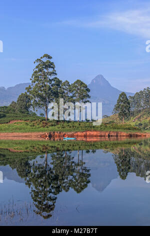 Adam's Peak, Maskeliya, Ratnapura, Sri Lanka, Asie Banque D'Images