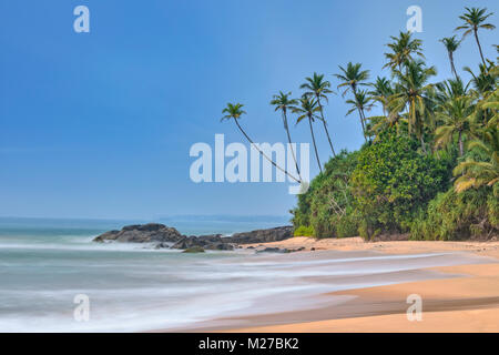 Palmier plage à Dondra, Sri Lanka, Asie Banque D'Images