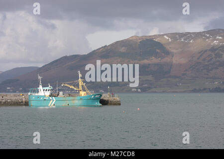 Carlingford Harbour - le port à Carlingford sur la péninsule de Cooley dans le comté de Louth, en Irlande. Banque D'Images