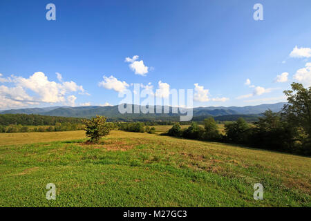 De grands pâturages et de chaînes de montagne dans la région de Cades Cove Great Smoky Mountains National Park à New York, United States Banque D'Images