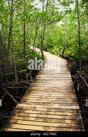 Passerelle pont de bois forêt de mangrove en Thaïlande Banque D'Images