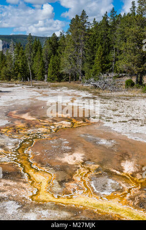 Tapis d'algues poussant dans l'eau chaude de hot springs de motifs intéressants. Upper Geyser Basin. Le Parc National de Yellowstone, Wyoming, USA Banque D'Images