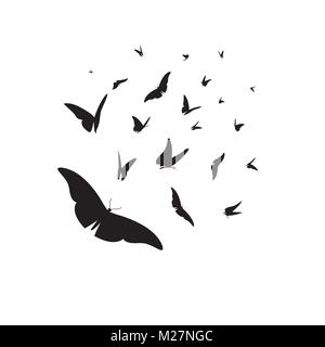 Vector set de différentes silhouettes noires de papillons sur fond blanc Illustration de Vecteur