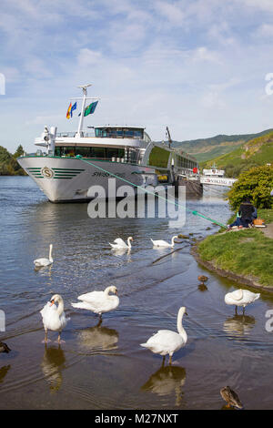 River cruise ship 'Jewel' et de cygnes au village viticole Bernkastel-Kues, Moselle, Rhénanie-Palatinat, Allemagne, Europe Banque D'Images