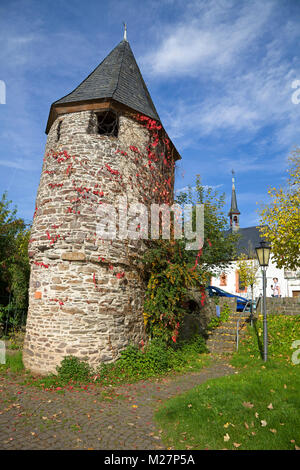 Ancienne tour de guet médiévale avec des feuilles de vigne à la Riverside, Alf, Moselle, Rhénanie-Palatinat, Allemagne, Europe Banque D'Images