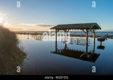 Inondations à Joseph Whidbey State Park, Whidbey Island, Washington Banque D'Images