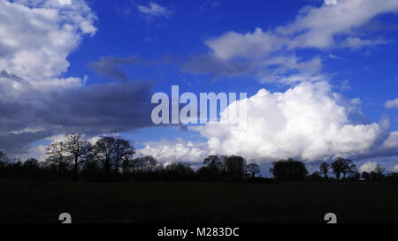 Paysage de campagne en hiver, prairie bordée d'une haie d'arbres, ciel nuageux (Nord Mayenne, Pays de la Loire, France). Banque D'Images