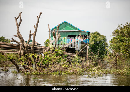 Le bois stocké dans arbre, Kampong Phluk village flottant, la Province de Siem Reap, au Cambodge. Banque D'Images