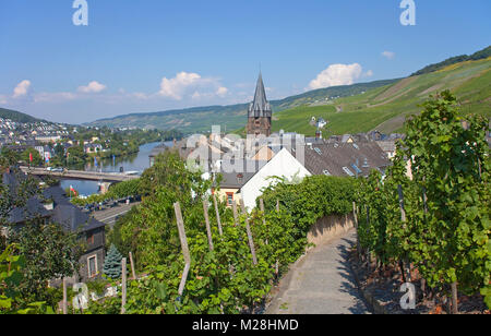 Vue d'un sentier entre vigne sur Bernkastel-Kues et Moselle, Rhénanie-Palatinat, Allemagne, Europe Banque D'Images