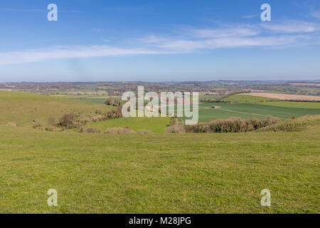 Cranborne Chase Dorset en Angleterre le 20 avril 2016, sur la frontière de 3 comtés, Dorset, Wiltshire et Hampshire, Cranborne Chase est un sont des n Banque D'Images