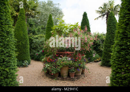 Pots en terre cuite rempli de Fuchsia, Pétunias, géraniums et entouré de Taxus baccata fastigiata (Irish Yew) dans East Ruston Old Vicarage, East Otto Bruderer Banque D'Images