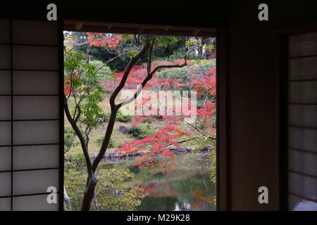 Jardin japonais traditionnel en automne - Jardin Isuien de Nara, au Japon. Banque D'Images