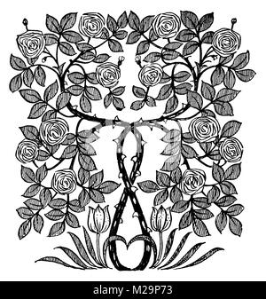 Rosier Frieze, ligne d'ornement illustration par l'architecte et artiste Mackay Hugh Baillie Scott de 1895 Le Studio un magazine illustré d'une fine Banque D'Images