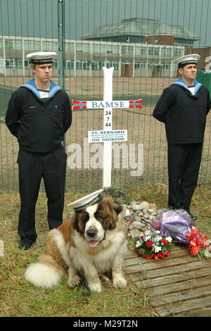 La Marine norvégienne sur la photo sur la tombe de Bamse, Montrose, Angus, Scotland. Le Saint Bernard a été une mascotte héroïque pendant la Seconde Guerre mondiale. Banque D'Images