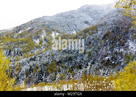 Un paysage blanc après une chute de neige dans les Pyrénées Catalanes. Banque D'Images