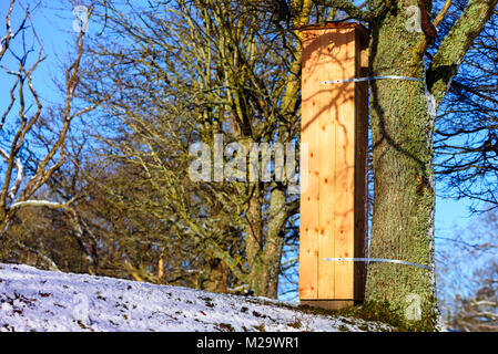 Grand hôtel d'insectes en bois remplis de bois pourri ou mulm habituellement trouvés dans de vieux arbres creux. Le mulm est un habitat et nourriture pour les insectes, les larves et b Banque D'Images