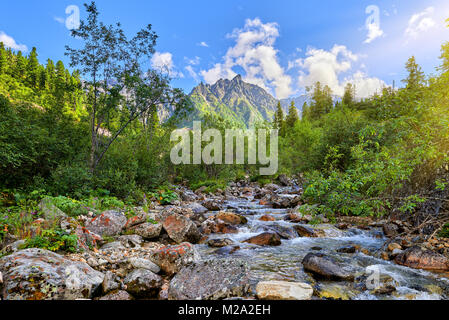 Ruisseau de montagne aux beaux jours. L'eau s'écoule entre les grosses pierres. Sayan de l'Est. La Russie Banque D'Images