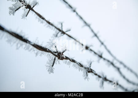 Détail d'une photo des barbelés avec du givre sur elle pendant la froide journée d'hiver. Banque D'Images