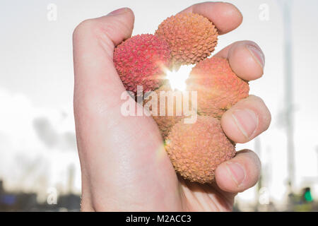 Le litchi dans la main dans la rue des fruits dans le soleil Banque D'Images